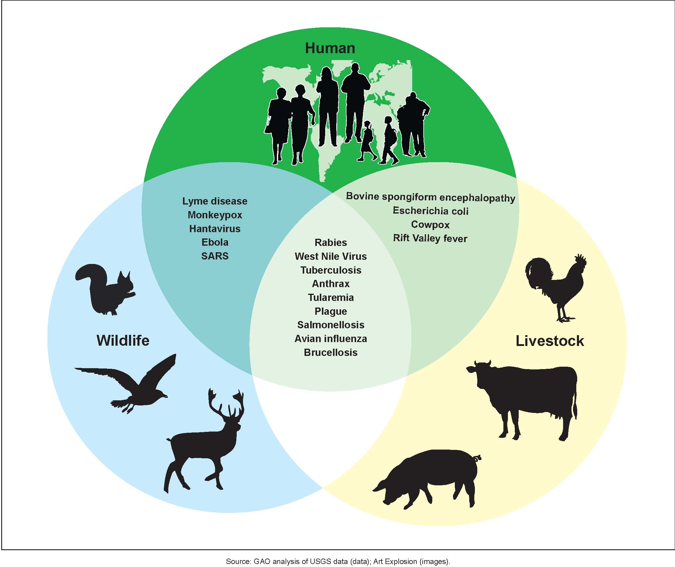 Examples of Zoonotic Diseases and Their Affected Populations