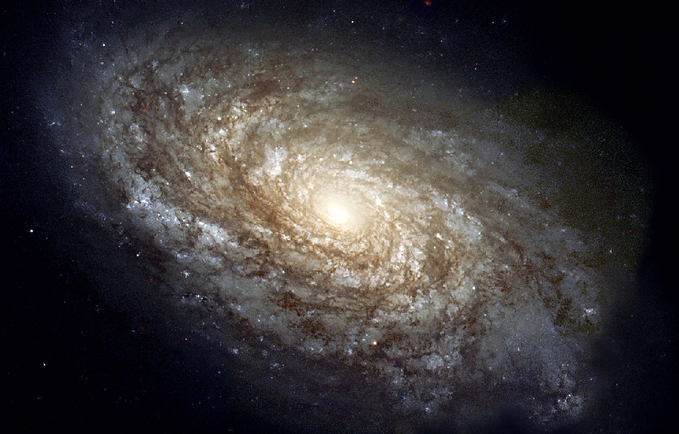 גלקסיה NGC 4414   מקור: ויקיפדיה (צוות האבל הריטג')