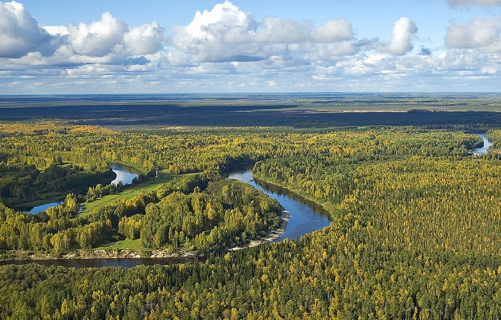 נהר וסיוגן, מחוז טומסק, רוסיה   מקור: ויקיפדיה (ואדים אדריאנוב)